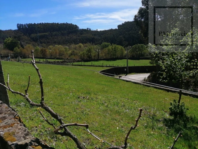 Moradia T0 para Venda em Arouca e Burgo Foto 27