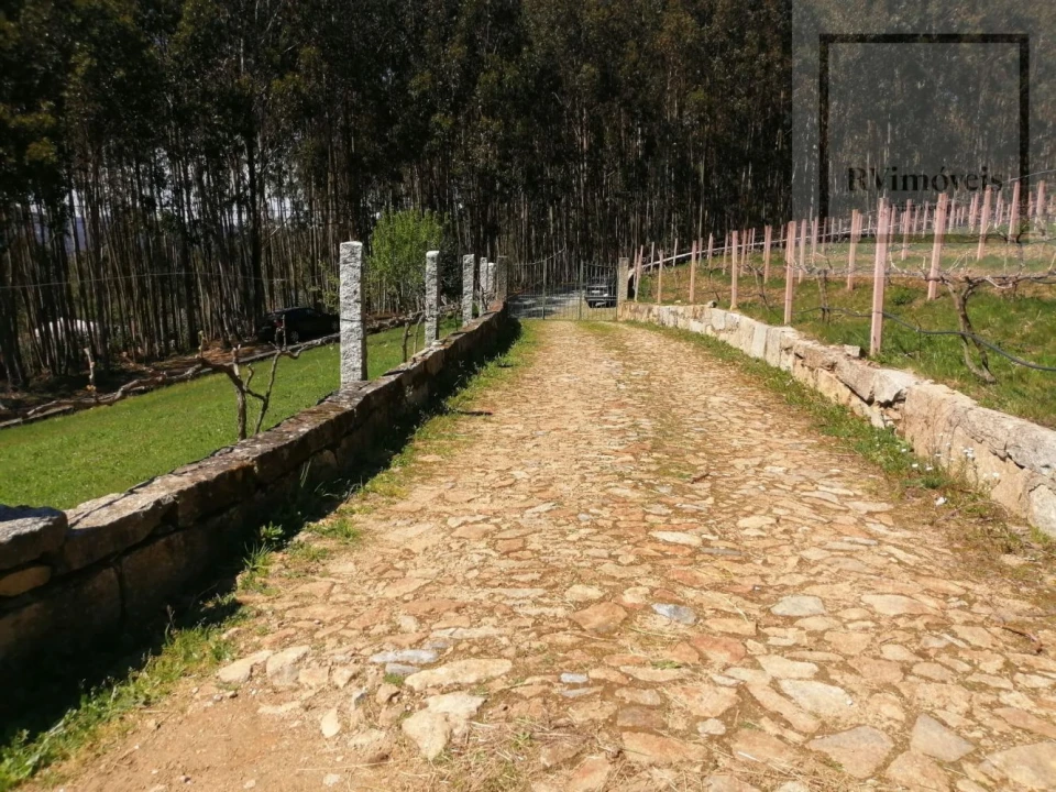 Moradia T0 para Venda em Arouca e Burgo Foto 25