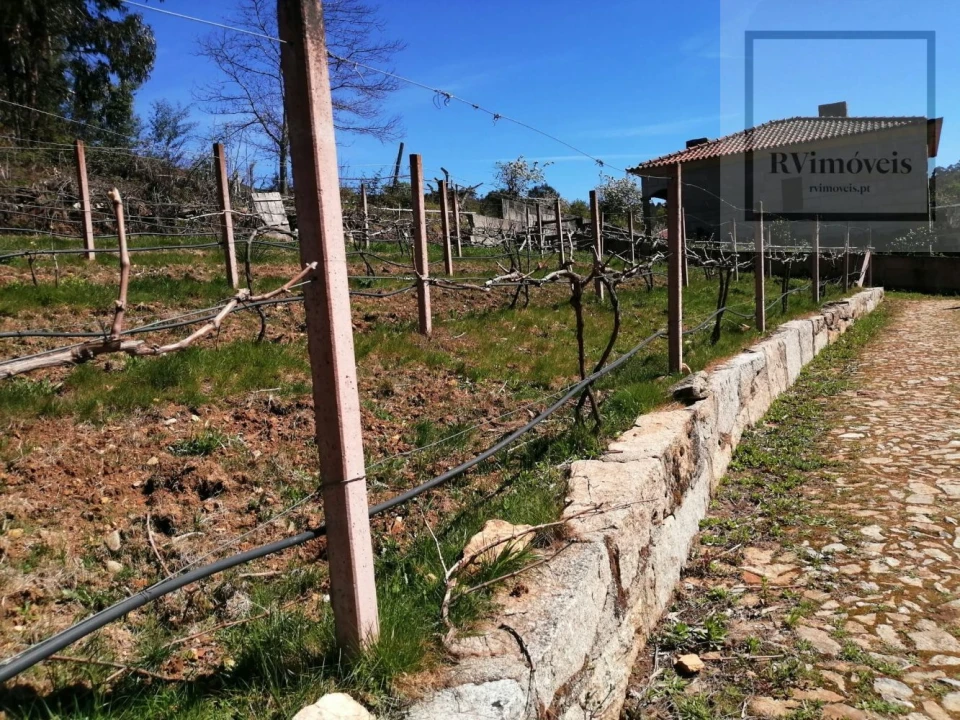 Moradia T0 para Venda em Arouca e Burgo Foto 26