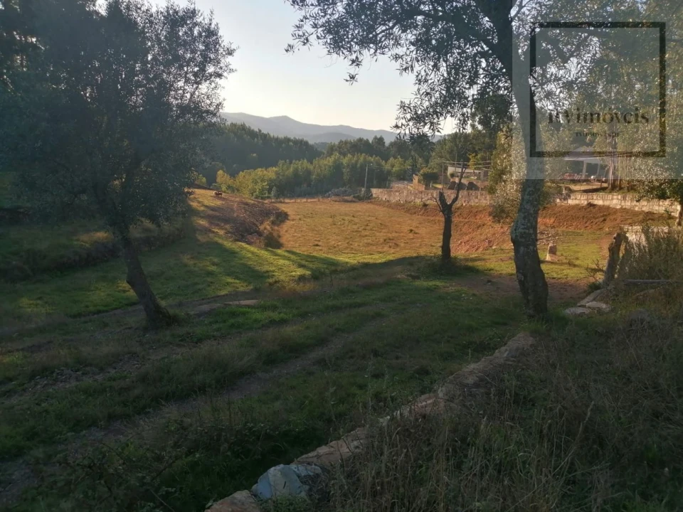 Moradia T0 para Venda em Arouca e Burgo Foto 13