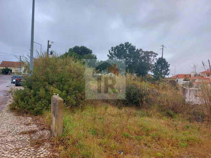 Terreno para Venda em Nadadouro Foto 4