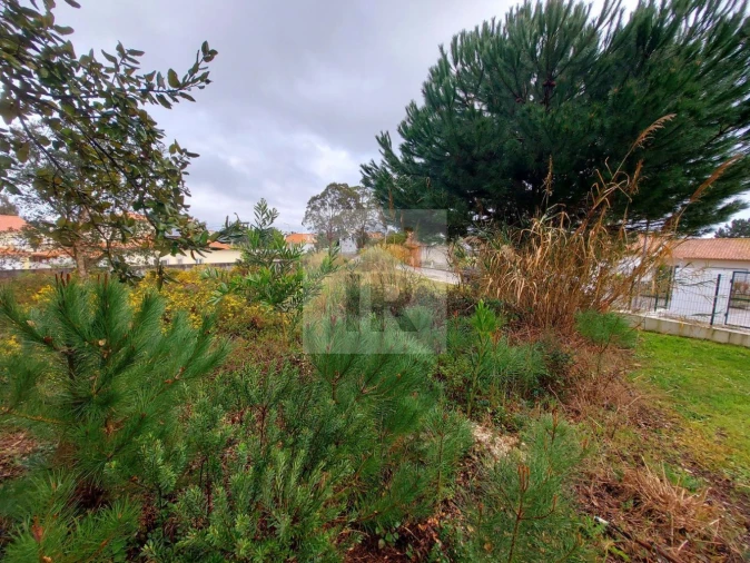 Terreno para Venda em Nadadouro Foto 8