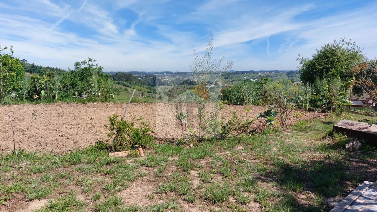 Terreno para Venda em Nossa Senhora do Pópulo, Coto e São Gregório Foto 11