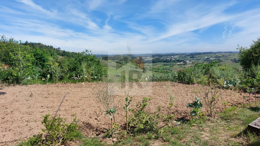 Terreno para Venda em Nossa Senhora do Pópulo, Coto e São Gregório Foto 2