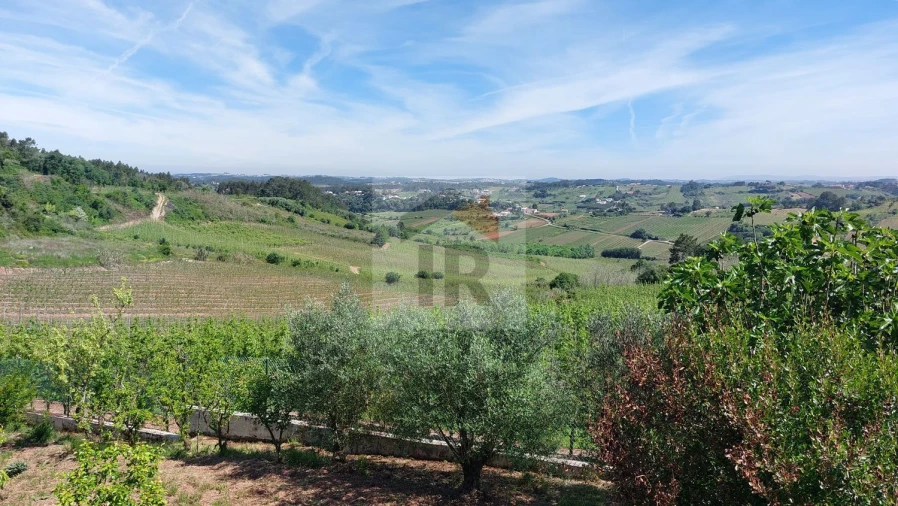 Terreno para Venda em Nossa Senhora do Pópulo, Coto e São Gregório Foto 10