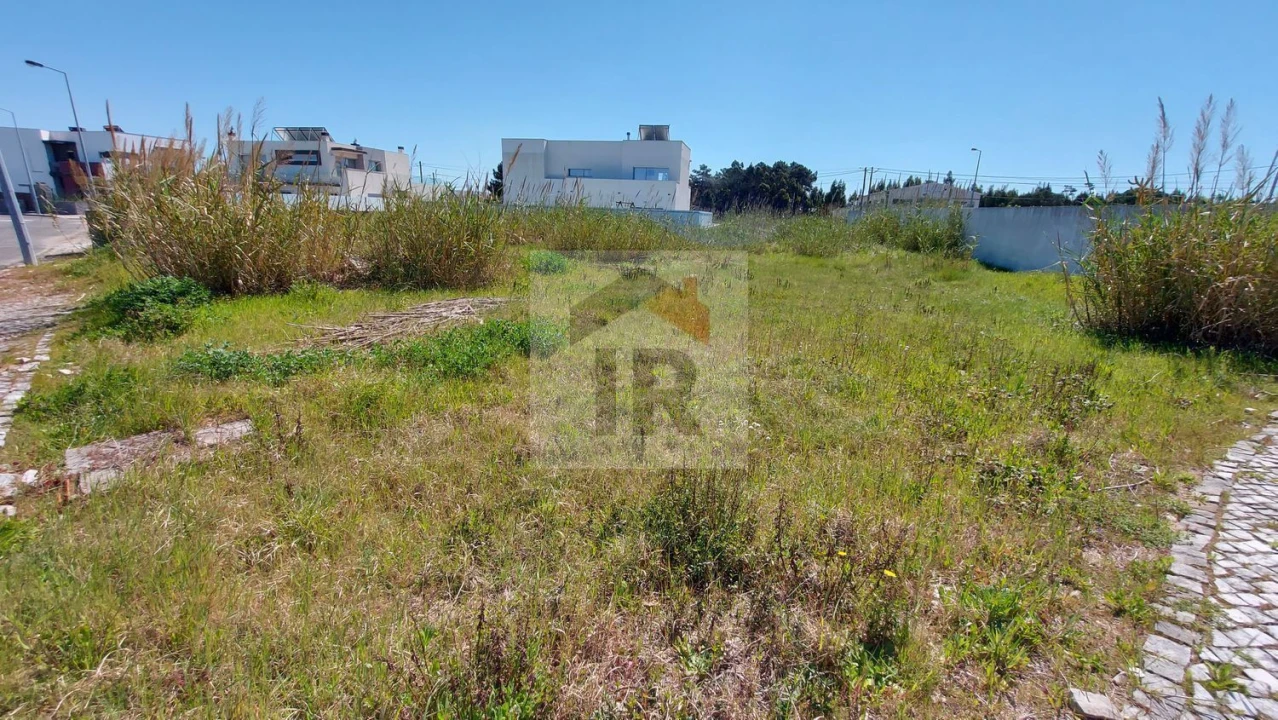 Terreno para Venda em Tornada e Salir do Porto Foto 2