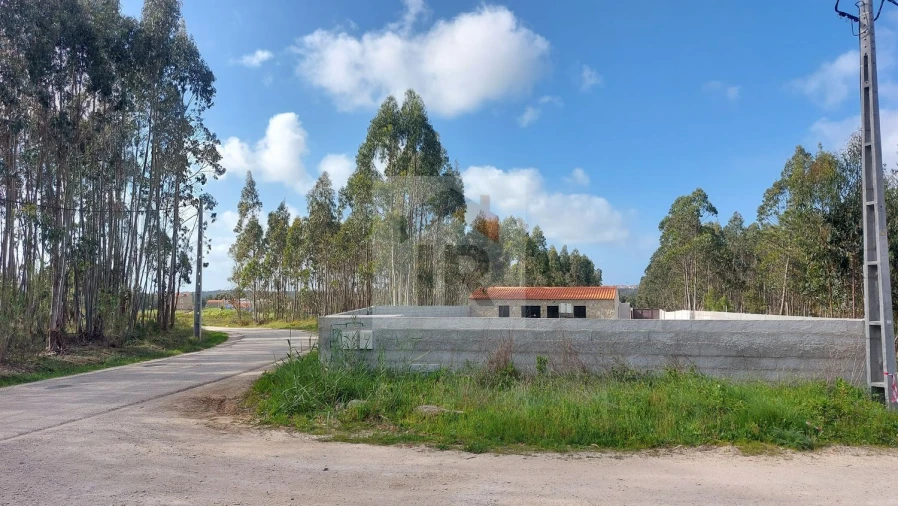Terreno para Venda em Santa Maria, São Pedro e Sobral da Lagoa Foto 4