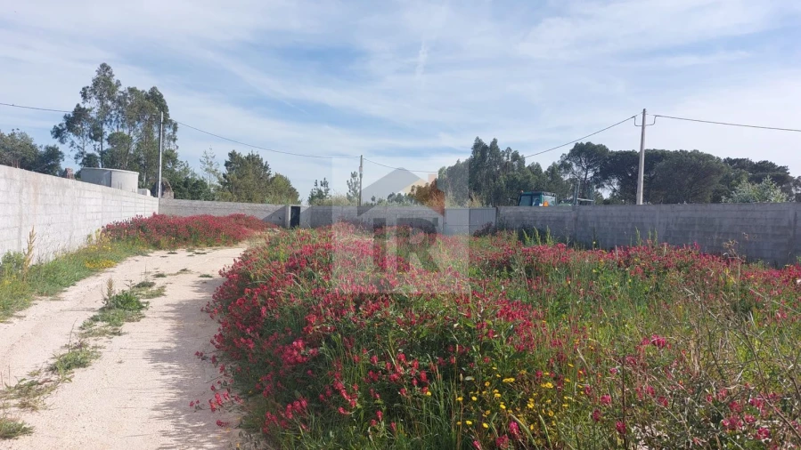 Terreno para Venda em Santa Maria, São Pedro e Sobral da Lagoa Foto 15