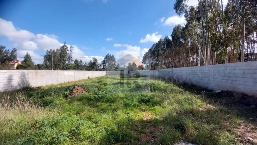 Terreno para Venda em Santa Maria, São Pedro e Sobral da Lagoa Foto 5