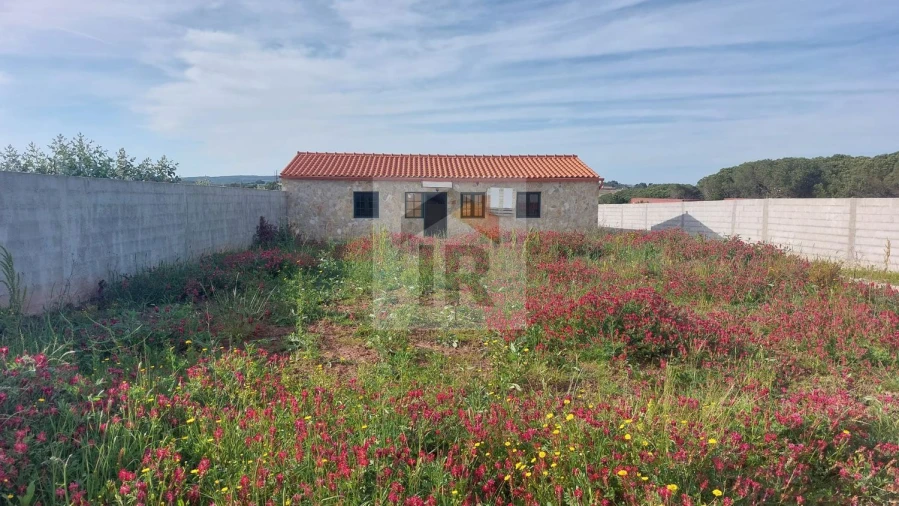 Terreno para Venda em Santa Maria, São Pedro e Sobral da Lagoa Foto 12