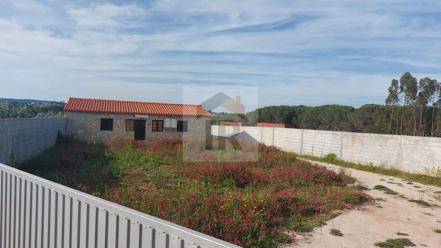 Terreno para Venda em Santa Maria, São Pedro e Sobral da Lagoa Foto 10