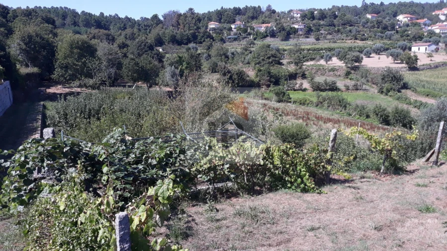 Moradia T4 para Venda em Vila Maior Foto 28