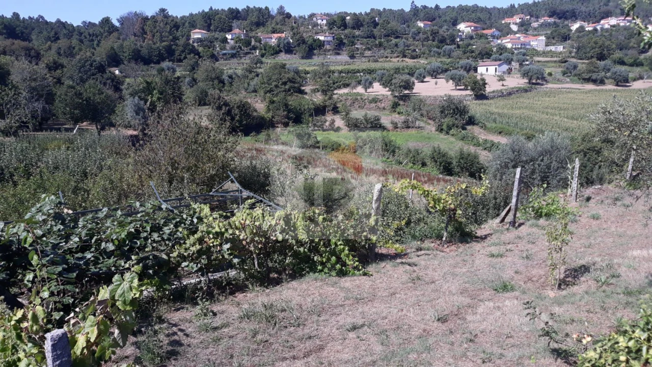 Moradia T4 para Venda em Vila Maior Foto 27