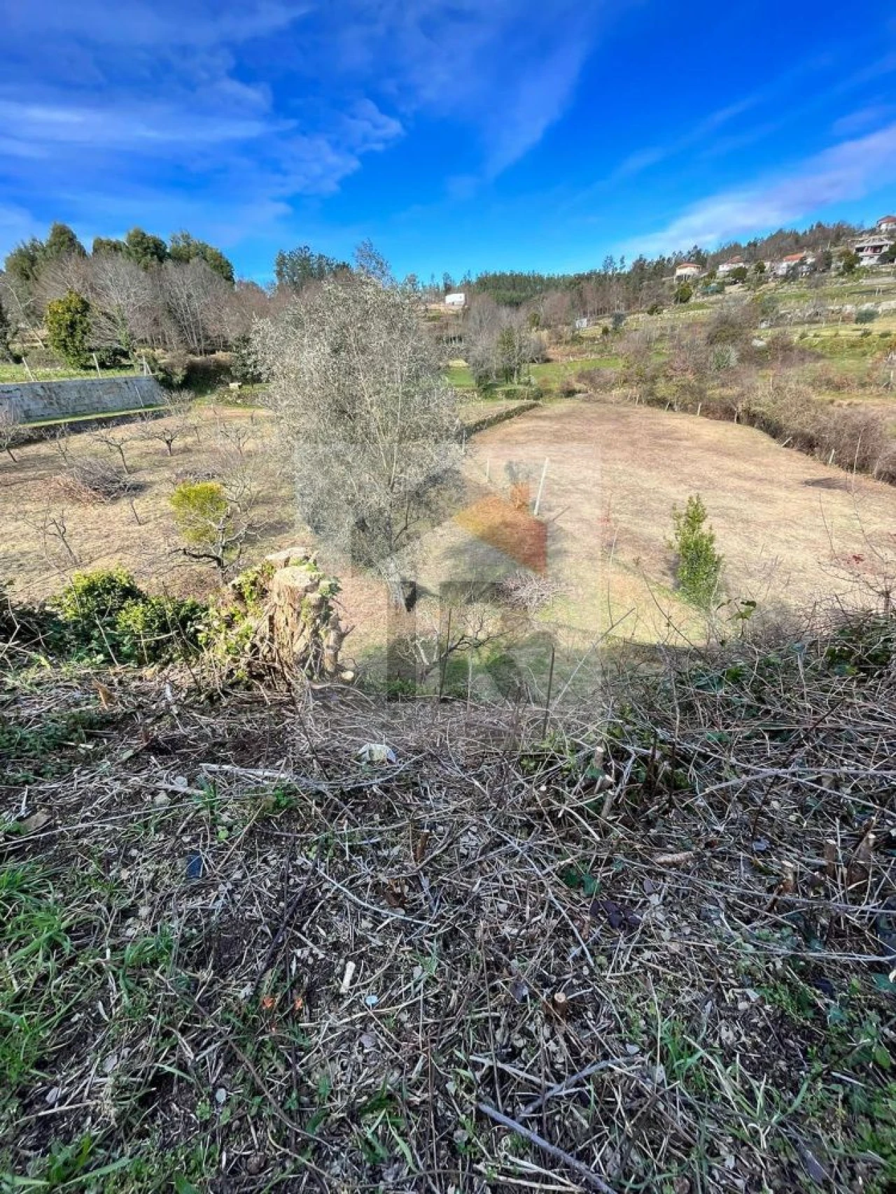 Moradia T4 para Venda em Vila Maior Foto 11