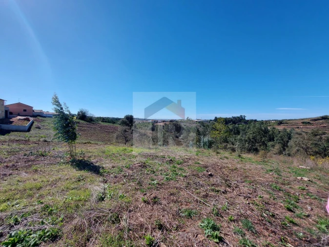 Terreno para Venda em Alvorninha Foto 9