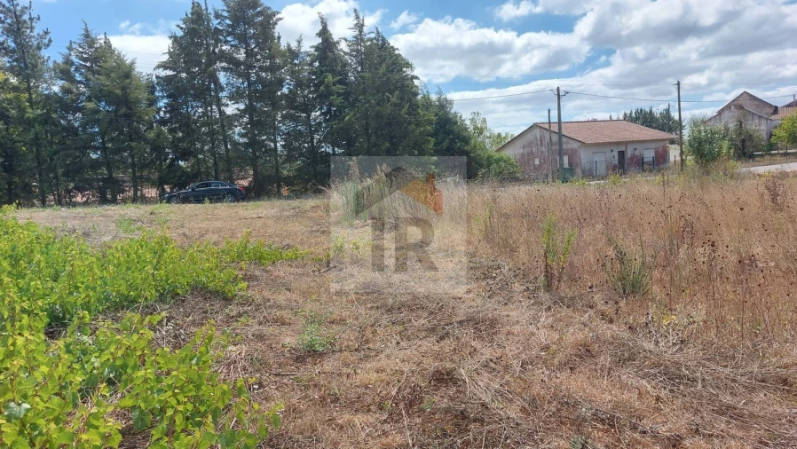 Terreno para Venda em Alvorninha Foto 5