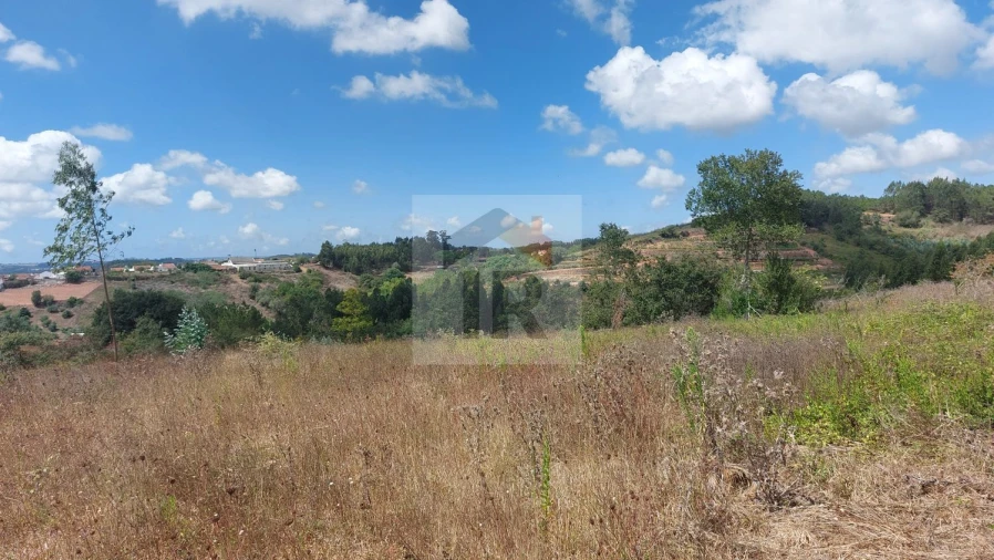 Terreno para Venda em Alvorninha Foto 3