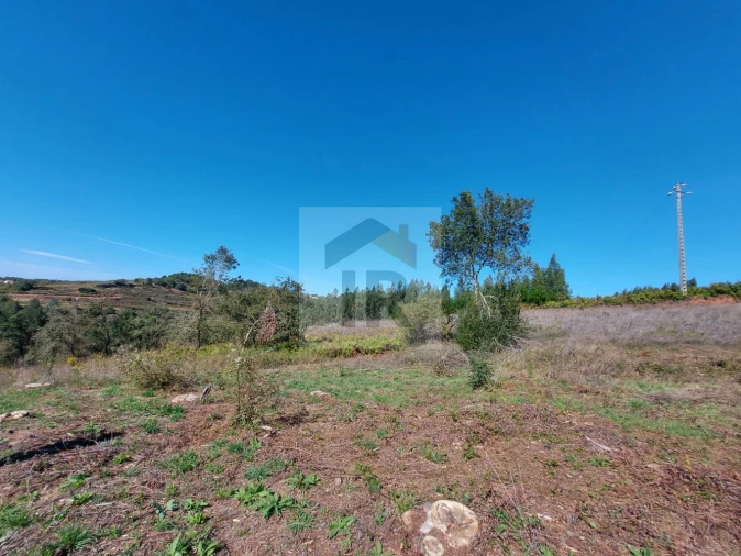 Terreno para Venda em Alvorninha Foto 11