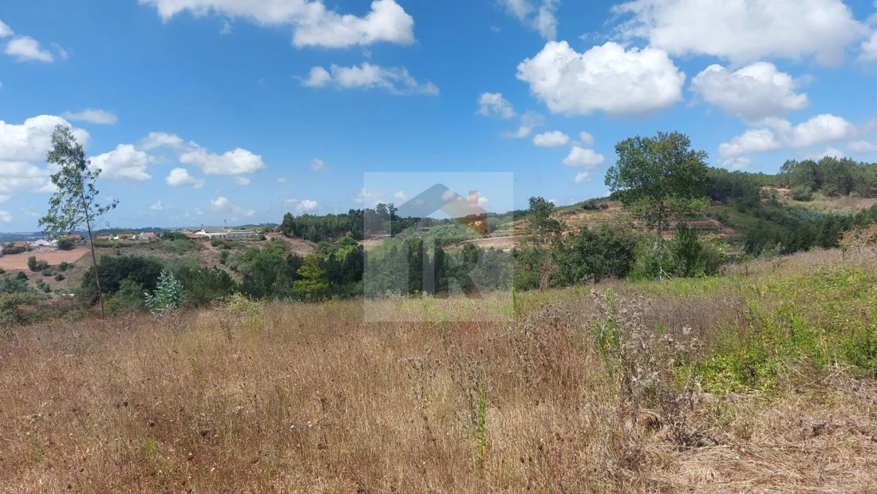 Terreno para Venda em Alvorninha Foto 3