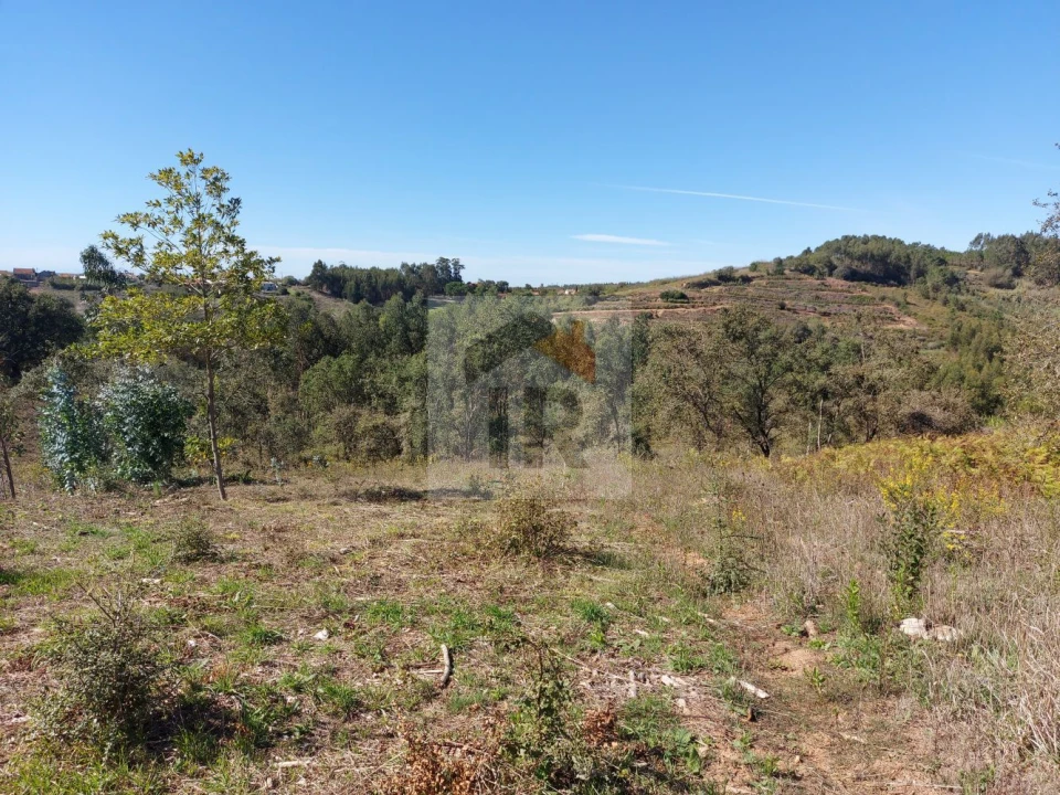 Terreno para Venda em Alvorninha Foto 12