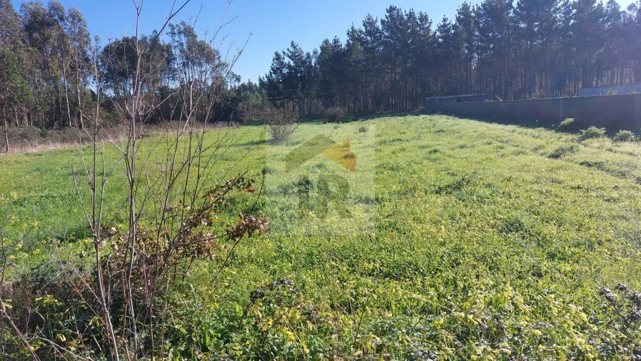 Terreno para Venda em São Martinho do Porto Foto 4
