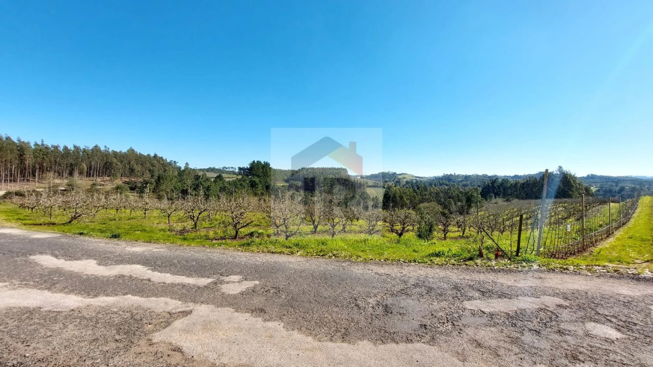Terreno para Venda em Salir de Matos Foto 5