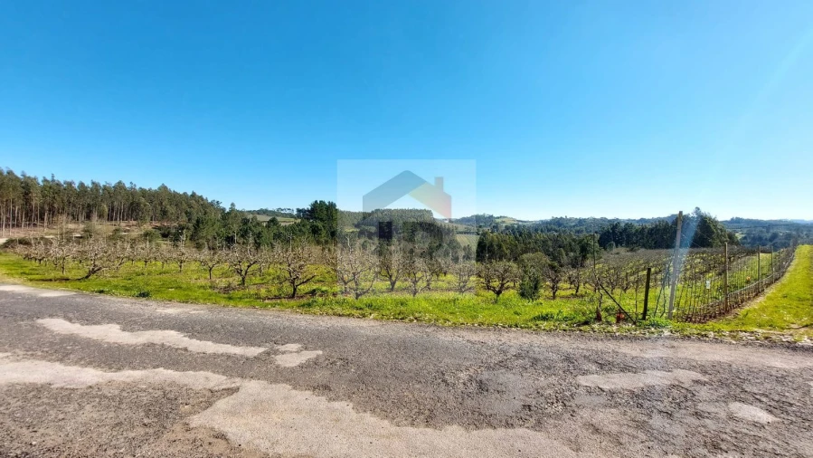 Terreno para Venda em Salir de Matos Foto 5