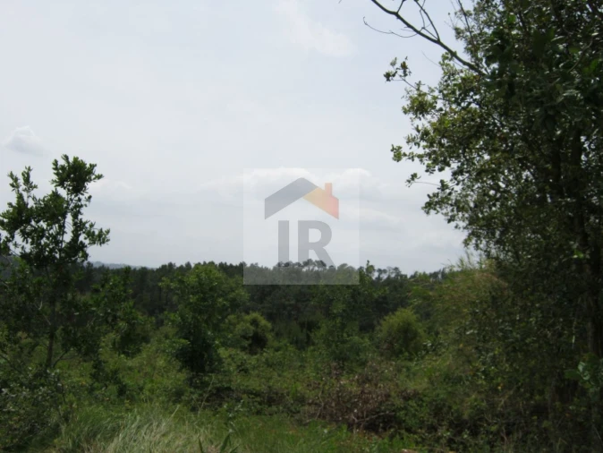 Terreno para Venda em Salir de Matos Foto 11