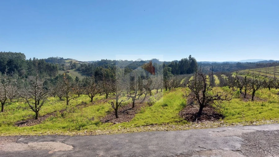 Terreno para Venda em Salir de Matos Foto 4