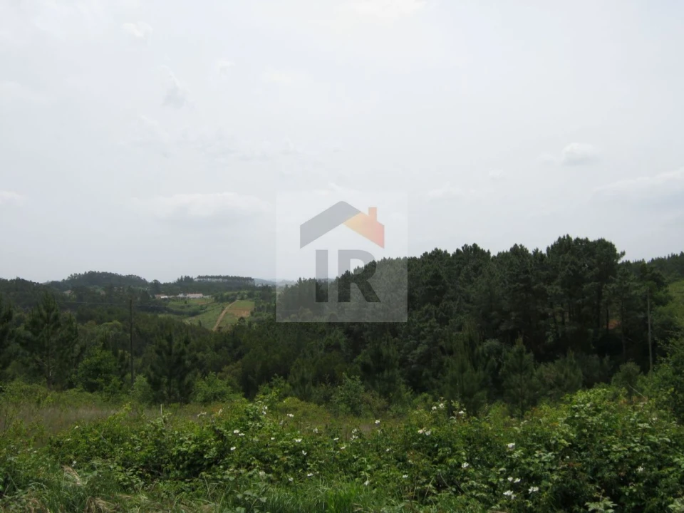 Terreno para Venda em Salir de Matos Foto 9