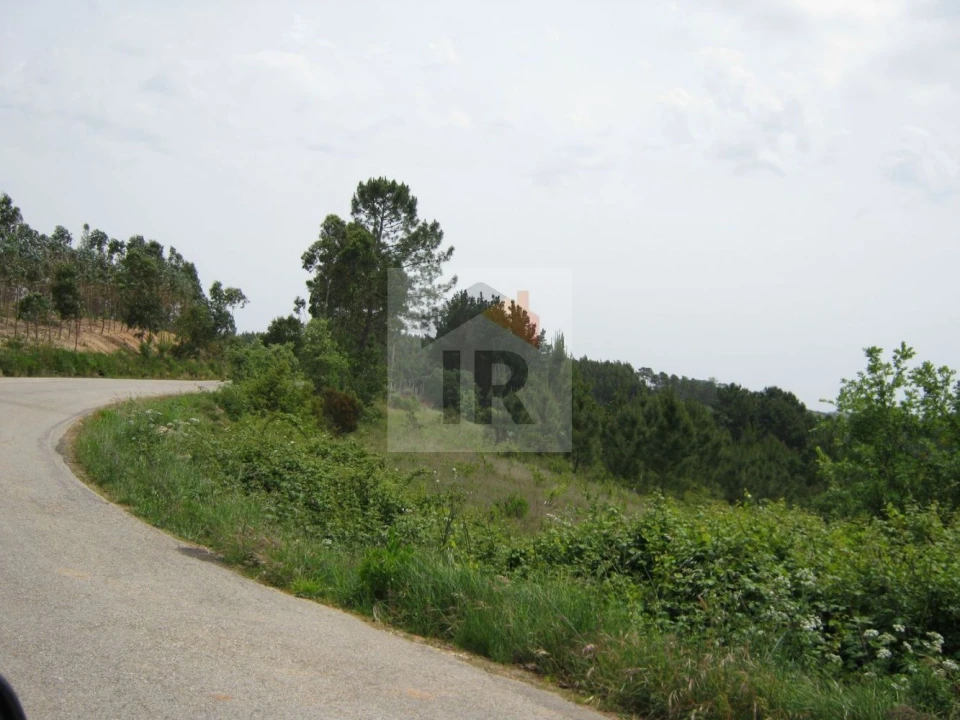 Terreno para Venda em Salir de Matos Foto 6
