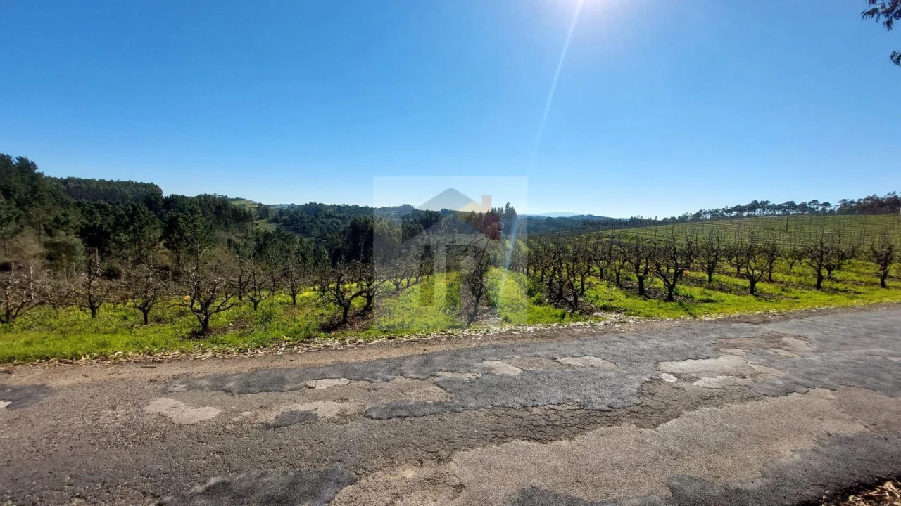 Terreno para Venda em Salir de Matos Foto 1