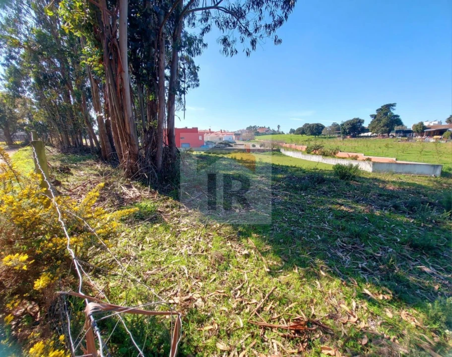 Terreno para Venda em Nossa Senhora do Pópulo, Coto e São Gregório Foto 6