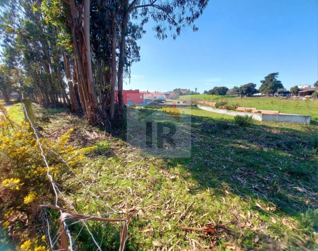 Terreno para Venda em Nossa Senhora do Pópulo, Coto e São Gregório Foto 6