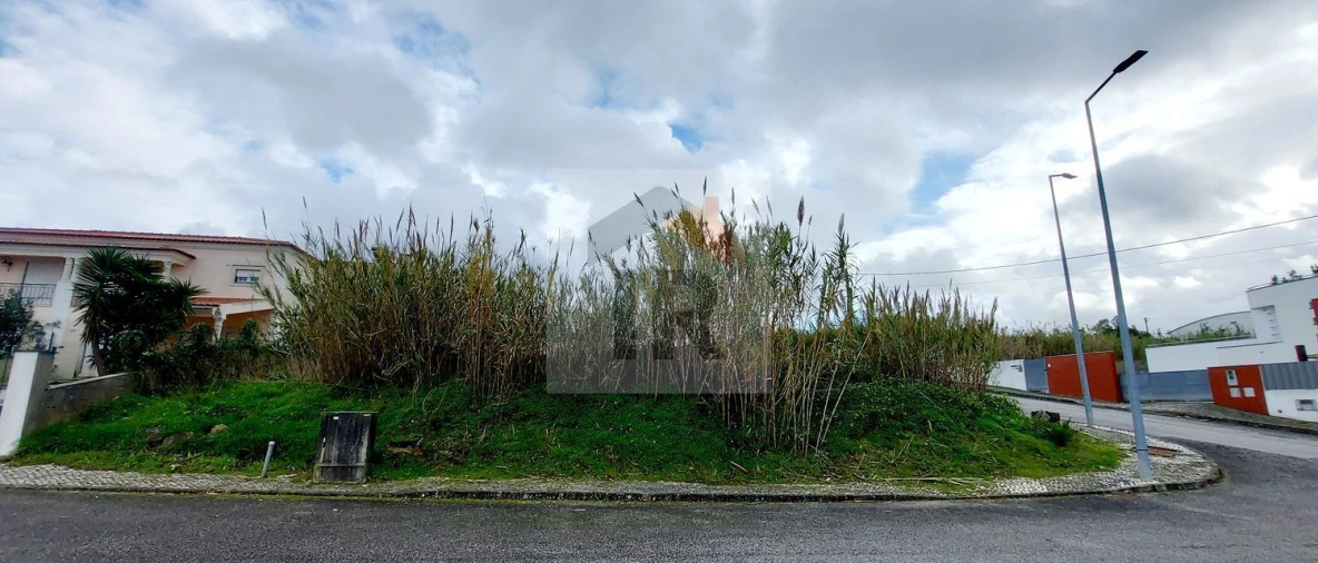 Terreno para Venda em Santa Maria, São Pedro e Sobral da Lagoa Foto 4