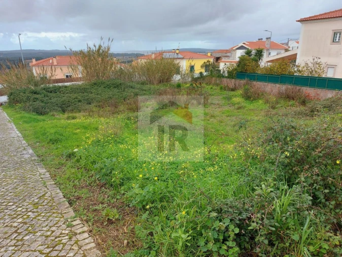 Terreno para Venda em Santa Maria, São Pedro e Sobral da Lagoa Foto 3