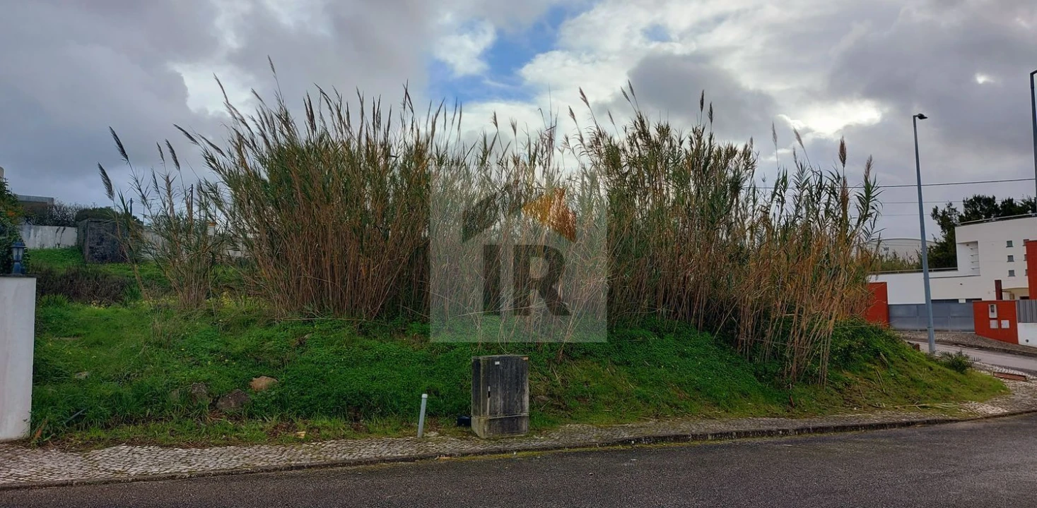 Terreno para Venda em Santa Maria, São Pedro e Sobral da Lagoa Foto 5