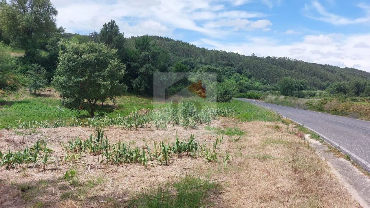 Terreno para Venda em Alvorninha Foto 9