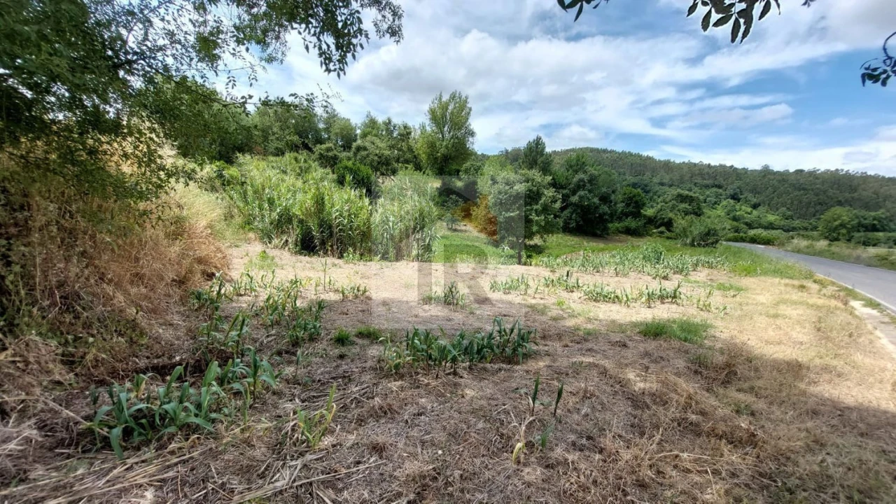 Terreno para Venda em Alvorninha Foto 11