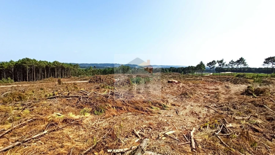 Terreno para Venda em Tornada e Salir do Porto Foto 2