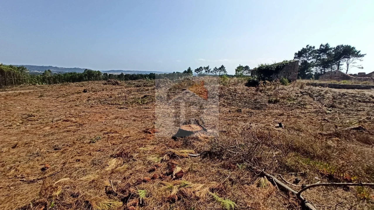 Terreno para Venda em Tornada e Salir do Porto Foto 3