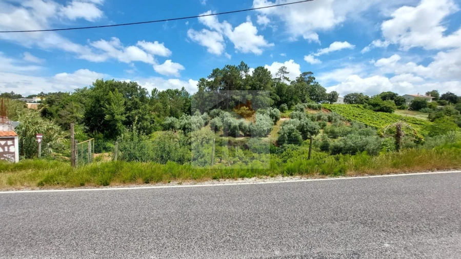 Terreno para Venda em Alvorninha Foto 7