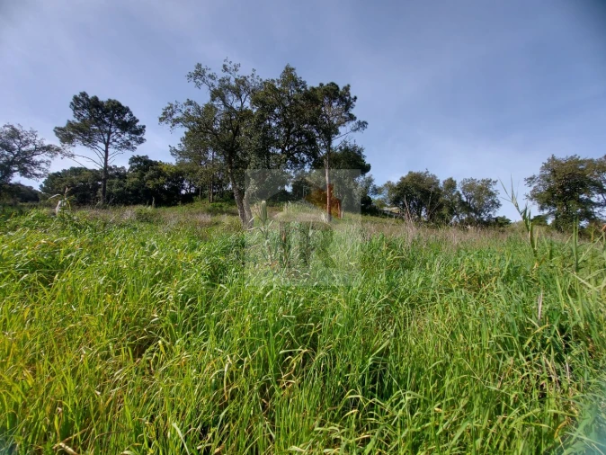 Terreno para Venda em Salir de Matos Foto 1