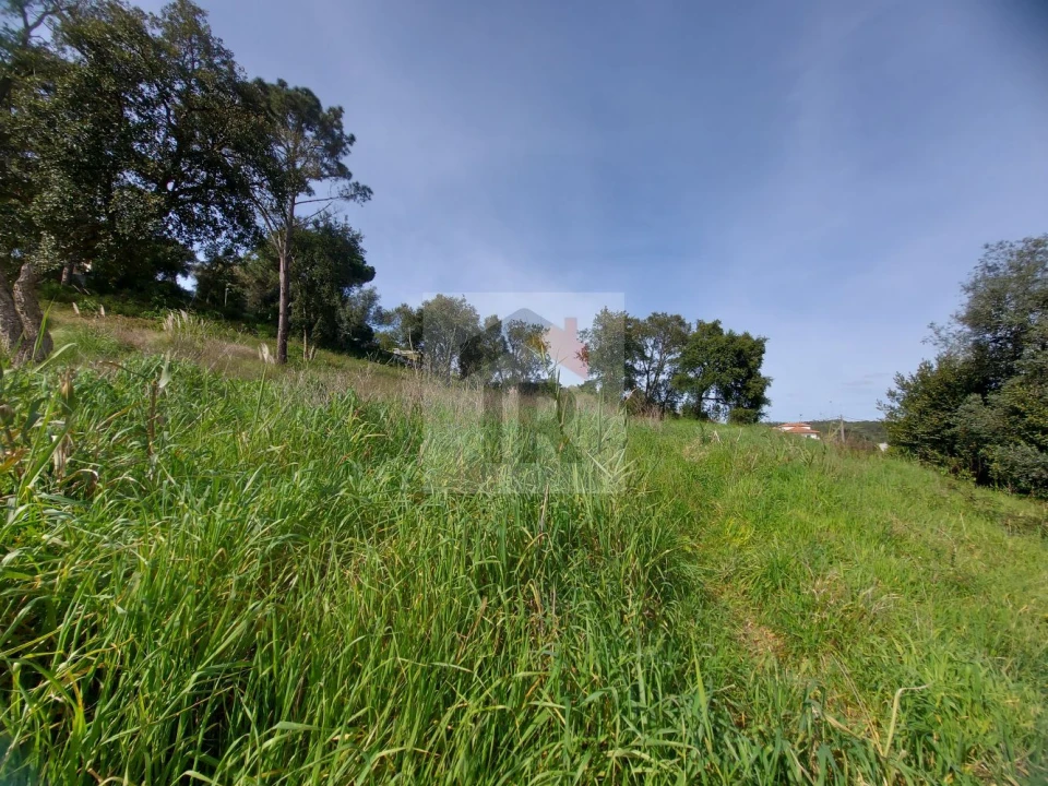 Terreno para Venda em Salir de Matos Foto 2