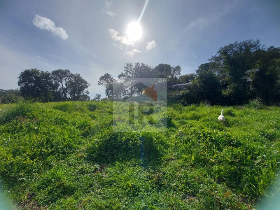 Terreno para Venda em Salir de Matos Foto 5