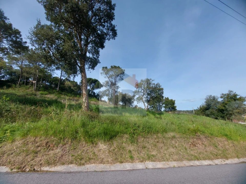 Terreno para Venda em Salir de Matos Foto 5