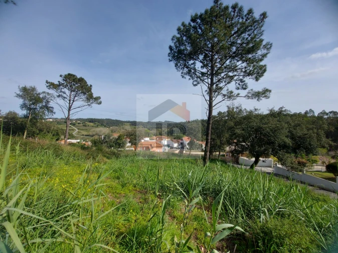 Terreno para Venda em Salir de Matos Foto 2