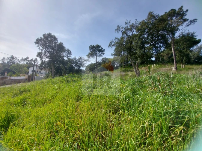 Terreno para Venda em Salir de Matos Foto 6