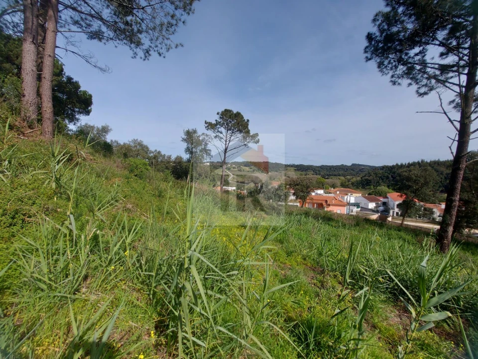 Terreno para Venda em Salir de Matos Foto 1