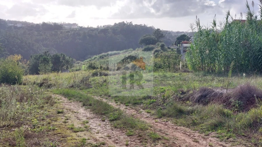Terreno para Venda em Santa Catarina Foto 3